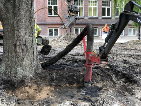 Unik dammsugningsteknik används vid trädsaneringen