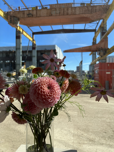 På första parkett till stadsutvecklingsscenen